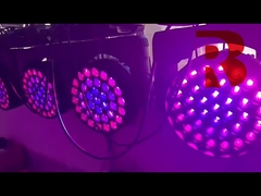 RGBW Zoom Cuci Big Bee Mata Klub Malam Pesta Disco DMX Lampu Panggung