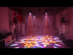 Mini Model Dengan Prisma RGBW Untuk Tampilkan 6 mata lebah cahaya